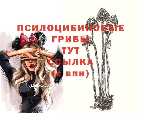 метадон Аркадак