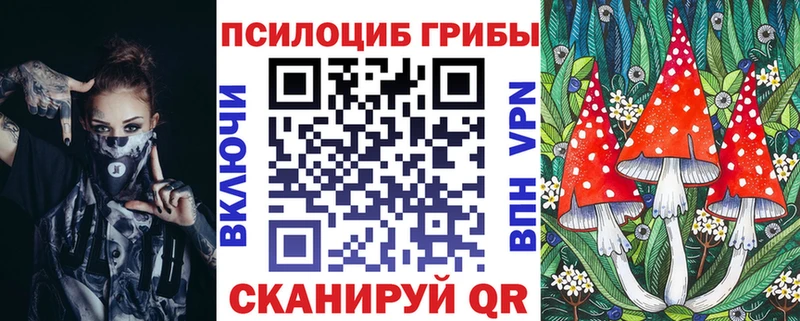 Псилоцибиновые грибы мицелий Теберда